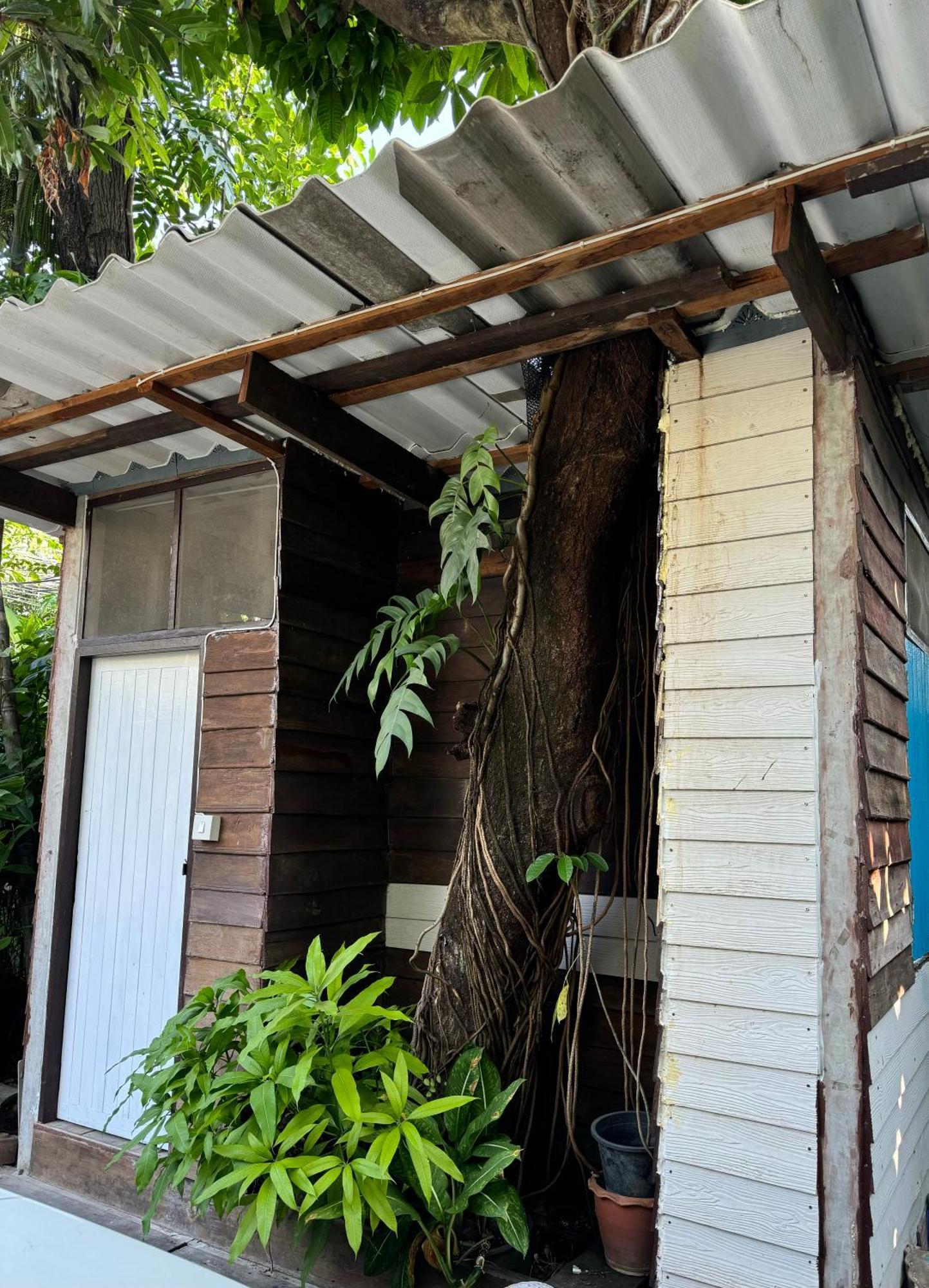 Many Trees Apartment Bangkok Exterior photo