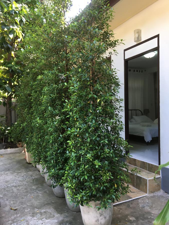 Many Trees Apartment Bangkok Exterior photo